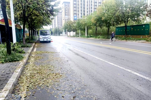 道路清掃前.jpg