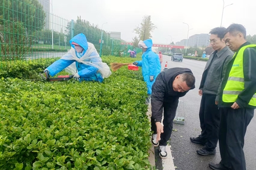 人工修剪綠化帶.jpg