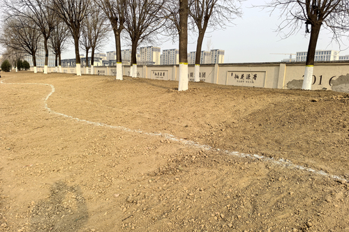 整地完成劃線準備補植.jpg