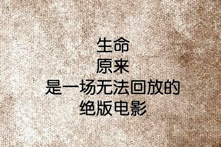珍惜当下 - 山东泰和城建发展有限公司